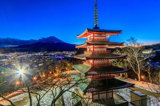 1-day-charter-tour-to-mt-fuji-view