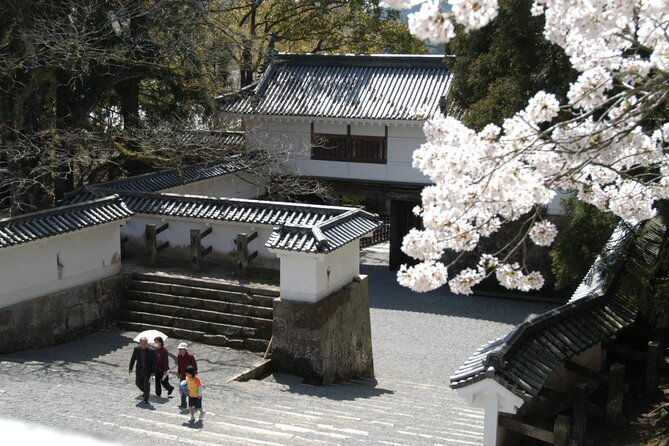 1-day-private-tour-to-miyazaki-nichinan