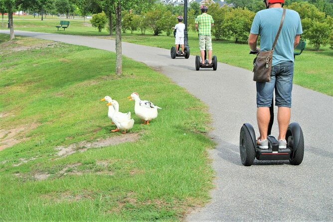 2-hour-guided-segway-tour-of-huntington-beach-state-park-in-myrtle-beach