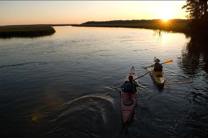 2-hour-hilton-head-guided-kayak-nature-tour