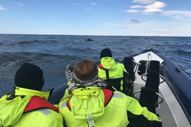 2-hour-rib-boat-whale-watching-tour-from-reykjavik