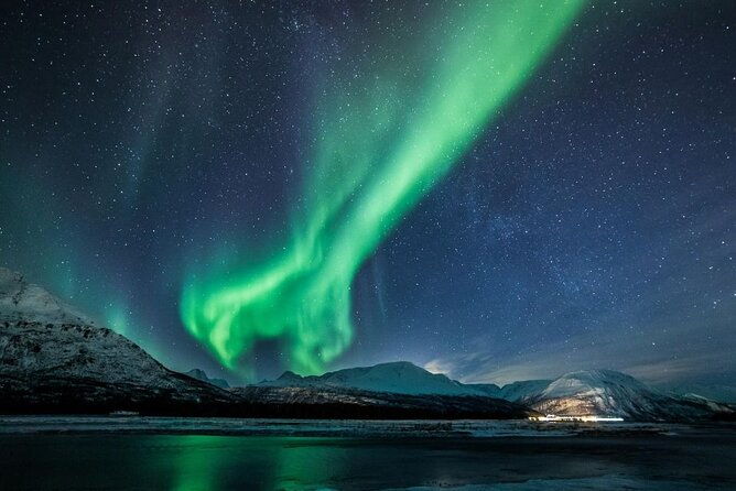 24hr-northern-lights-whale-watching-cruise