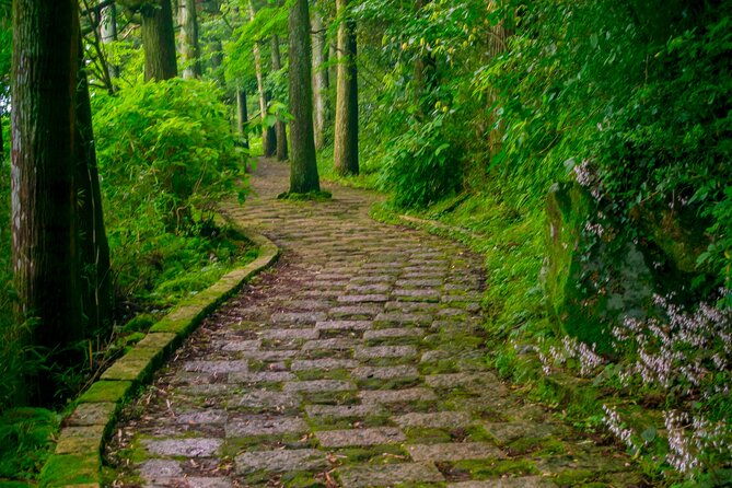 3-day-japan-highlights-tour-tokyo-mt-fuji-nara-kyoto-osaka