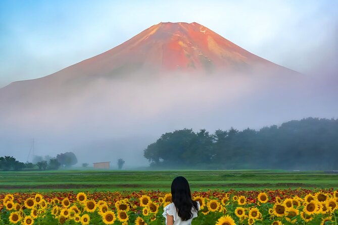 3-perfect-days-in-japan-private-tokyo-city-mount-fuji-kyoto