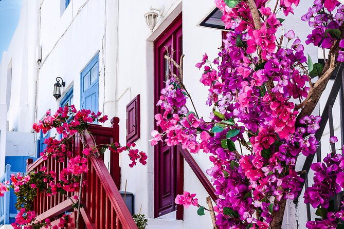 4hours-mykonos-adventure-walk-in-town-minivan-countryside-tour