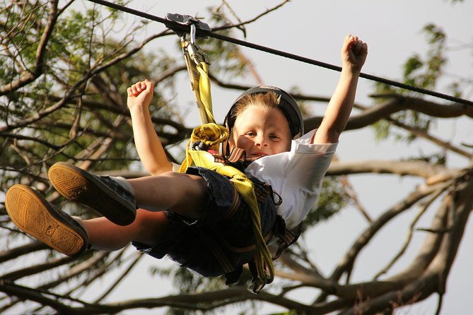 7-line-maui-zipline-on-the-north-shore