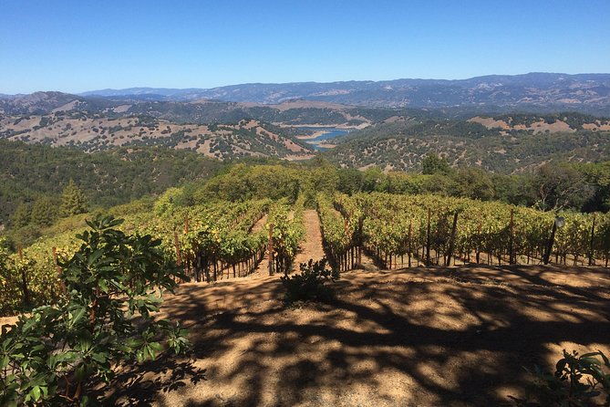 8-hour-exclusive-wine-tour-experience-for-up-to-6-guests-napa-sonoma