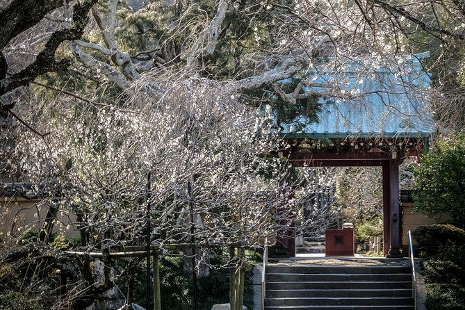 a-fun-day-out-discovering-kamakura
