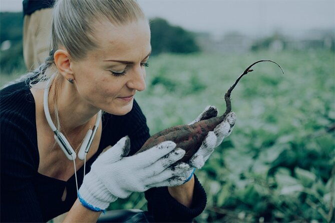 a-gastronomic-tour-exploring-the-cycle-of-nature-and-food