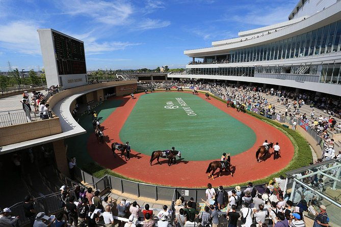 a-tour-to-enjoy-japanese-official-gambling-horse-racing-bicycle-racing-pachinko