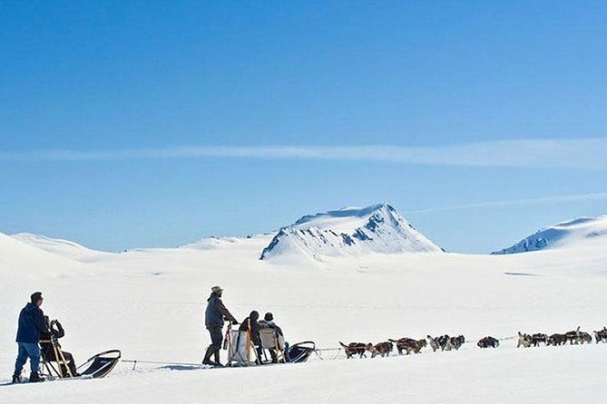 alaska-helicopter-and-glacier-dogsled-tour-anchorage-area