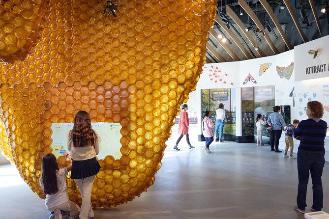 american-museum-of-natural-history-admission-ticket
