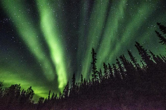 arctic-circle-and-northern-lights-tour-from-fairbanks
