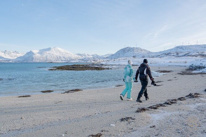 arctic-roadtrip-fjords-with-scenic-picnic-private