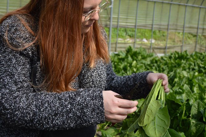 aso-cycling-and-farming-private-tour