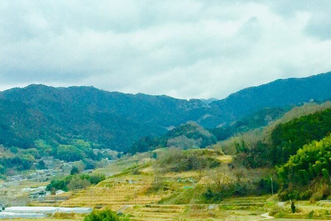 asuka-private-full-day-guided-tour-from-kashihara