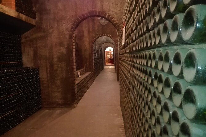 bairrada-winery-route-half-day-from-coimbra