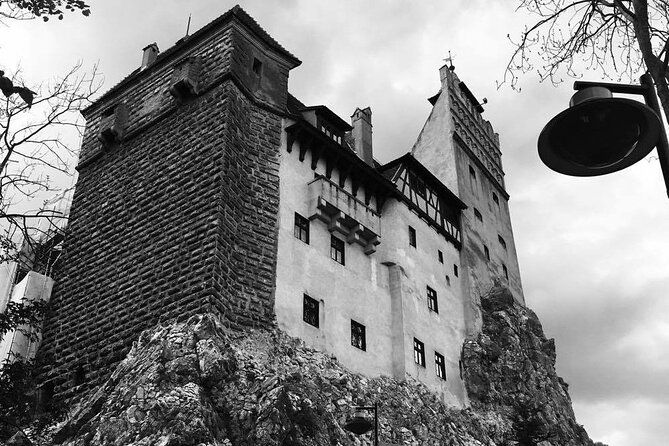 bear-sanctuary-and-bran-castle-from-brasov