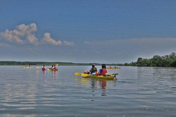 belgrade-war-island-kayak-tour