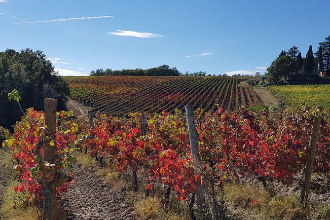 bevagna-e-bike-wine-tour