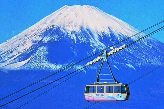 beyond-the-ordinary-private-mount-fuji-cherry-blossom-tour