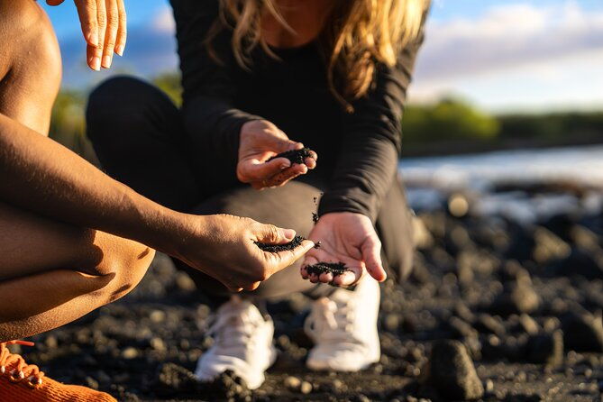 big-island-highlights-coffee-volcano-black-sands-waterfall