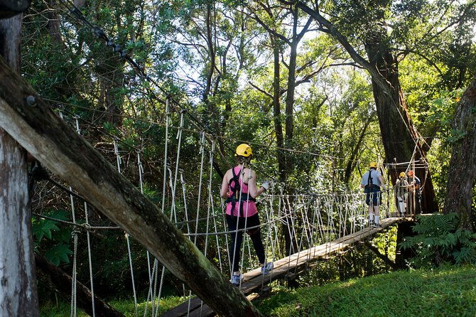 big-island-kohala-canopy-zipline-adventure