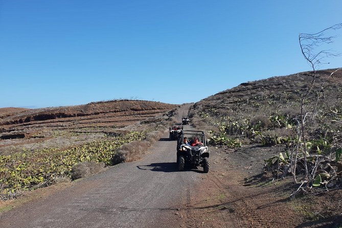 buggy-3h-guided-tour-of-the-north-of-lanzarote