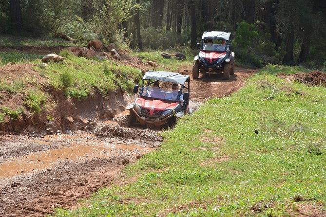 buggy-safari