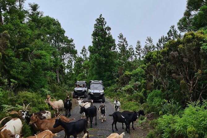 buggy-tour-west-center-of-the-island-off-road