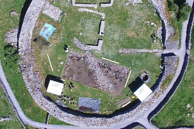caherconnell-fort-sheepdog-demonstrations