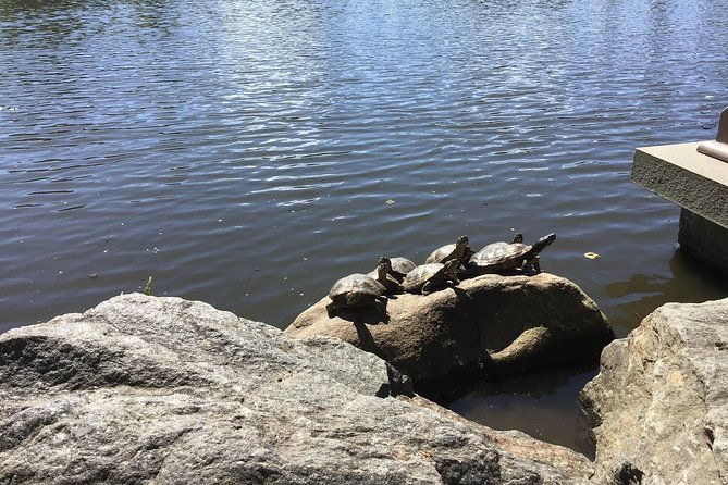 central-park-guided-walking-tour