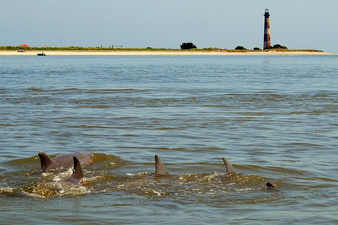 charleston-eco-boat-cruise-with-stop-at-morris-island-lighthouse