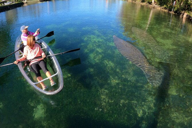 clear-kayak-manatee-ecotour-of-crystal-river