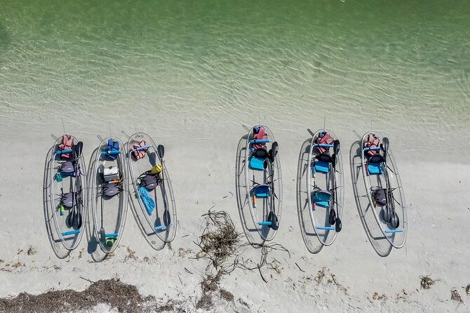 clear-kayak-tour-of-shell-key-preserve-and-tampa-bay-area