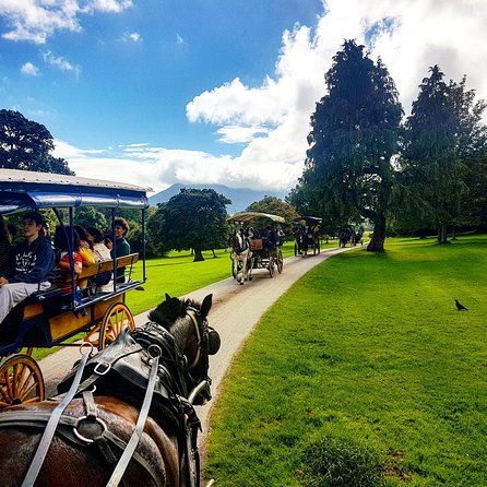 combination-killarney-jaunting-car-tour-and-lakes-of-killarney-cruise