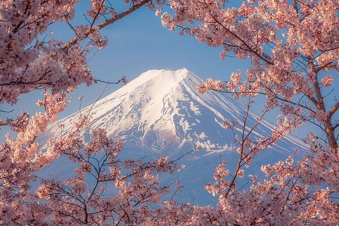 customizable-private-tour-in-mt-fuji-from-tokyo-by-car-or-van
