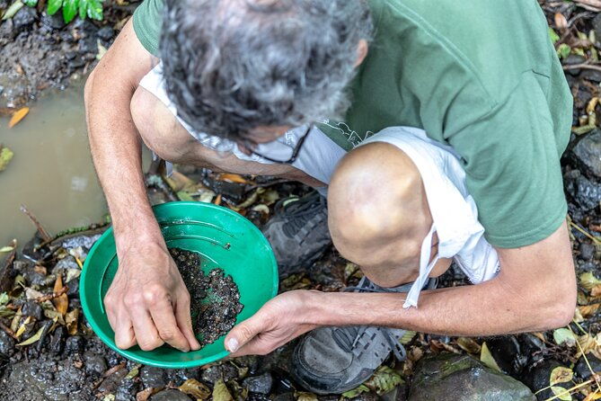 czech-garnet-panning-with-animal-farm-lunch-4wd-trip-from-prague