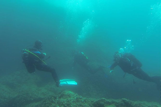diving-for-patented-divers