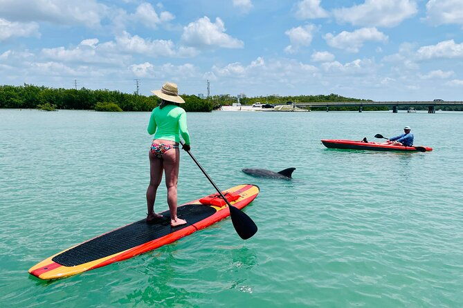 dolphin-and-manatee-adventure-tour-of-fort-myers