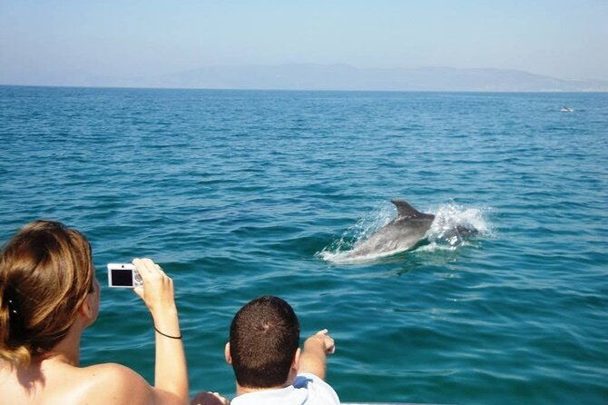 dolphin-watching-from-faro
