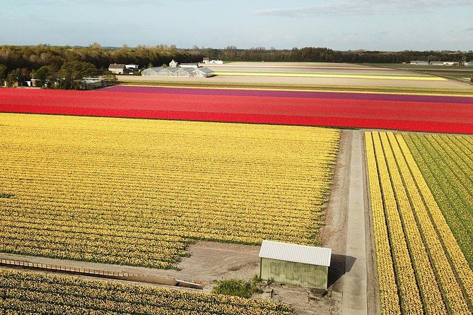 drive-it-yourself-electric-tulip-and-flower-fields-gps-audio-tour