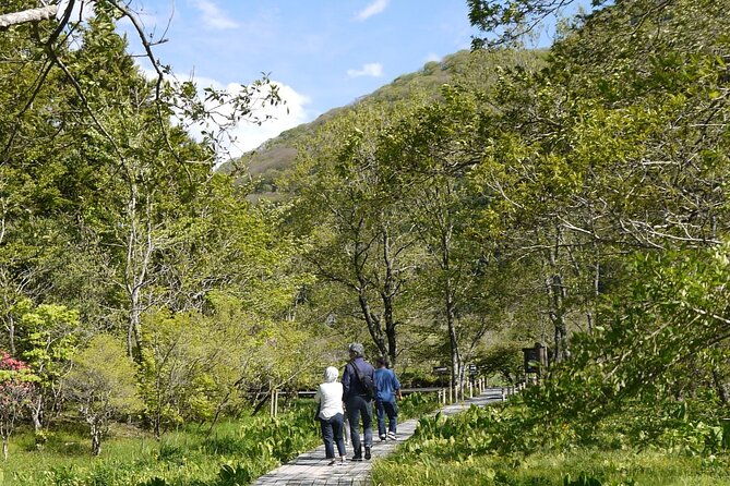 easygoing-nature-walk-in-hakone-tour
