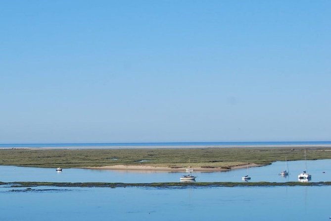 eco-boat-tour-in-the-ria-formosa-lagoon-from-faro
