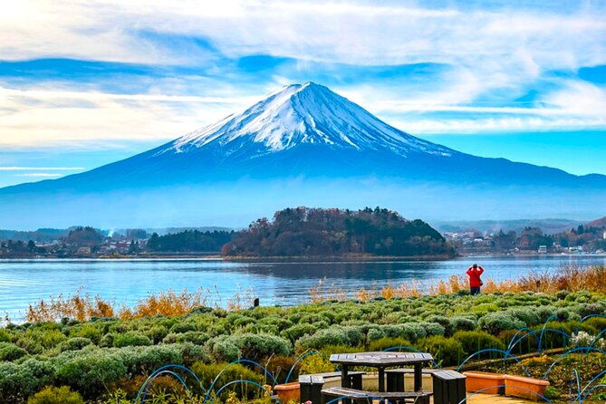 english-guided-mt-fuji-and-lake-kawaguchi-group-tour