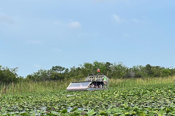 everglades-tour-from-miami-with-transportation