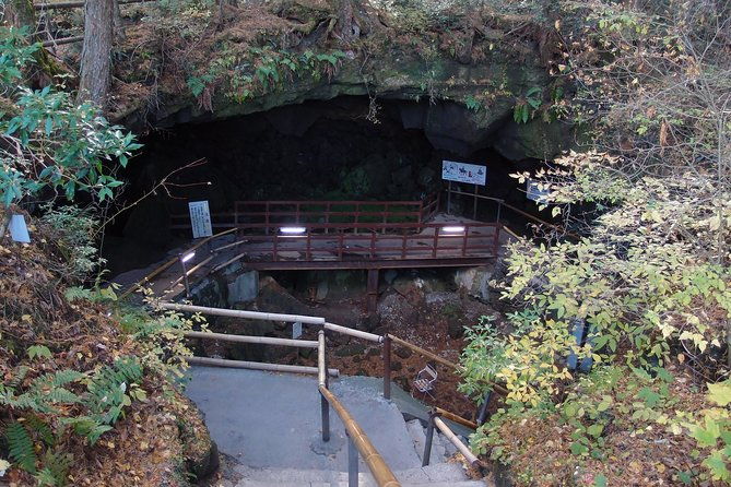experience-the-stunning-nature-of-mt-fuji-private-tour