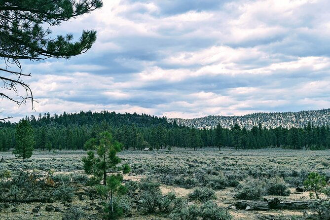 family-friendly-nature-hike-around-the-big-bear-valley