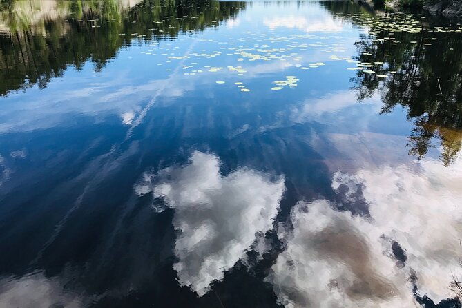 forestbathing-and-natural-spring-water-in-stockholm-nature