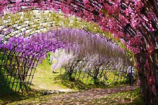 french-dining-at-matsumoto-residence-and-kawachi-wisteria-yokabus
